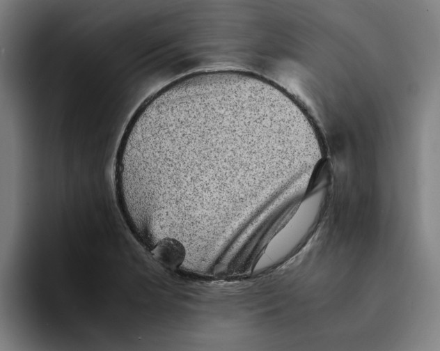 X0000094221181200711161843