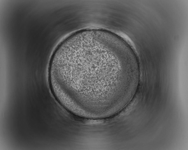 X0000094221183200711161843