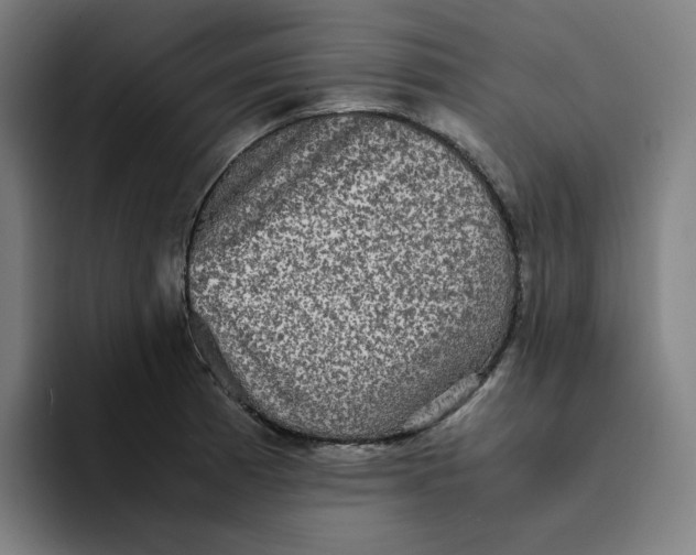 X0000094221185200711161843