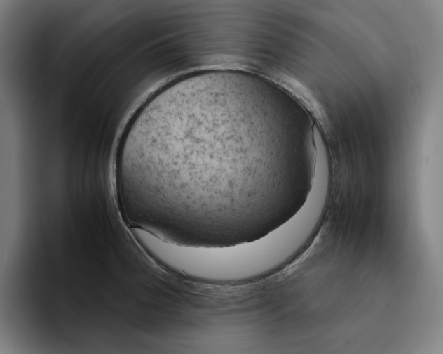 X0000094221188200711161843