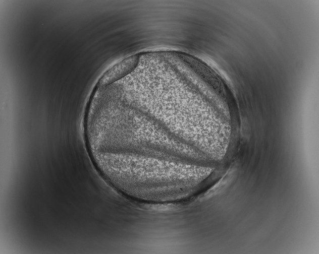 X0000094221189200711161843