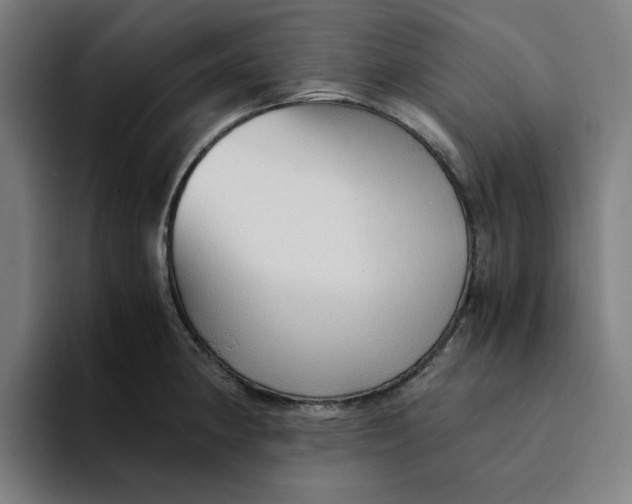 X0000094221190200711161843