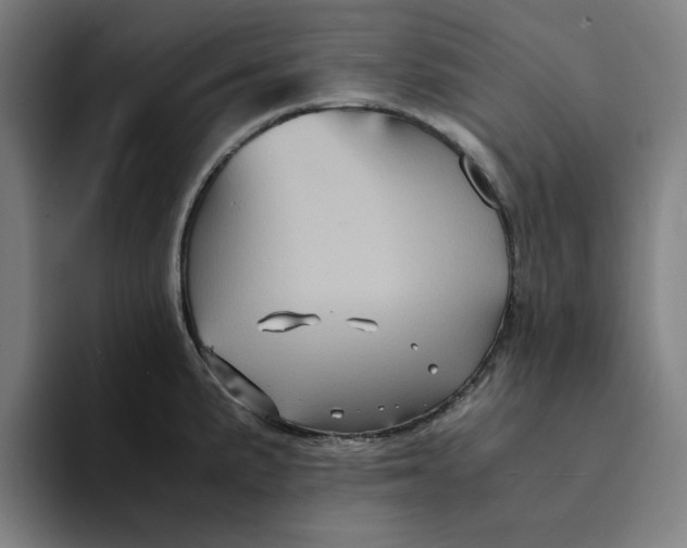 X0000094221191200711161843