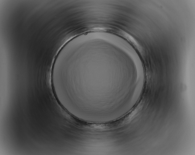 X0000094221194200711161842