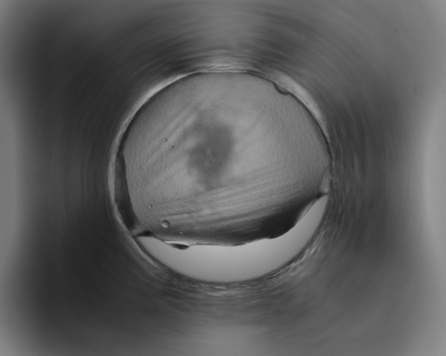 X0000094221195200711161842