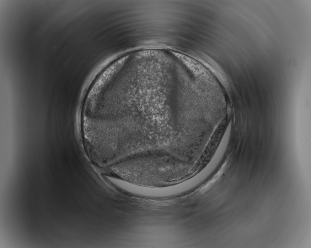 X0000094221196200711161842