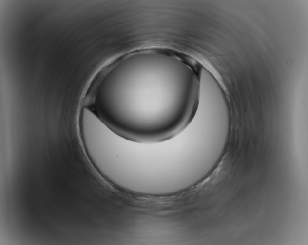 X0000094221197200711161842