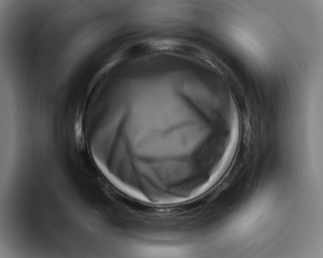 X0000094221198200711161842