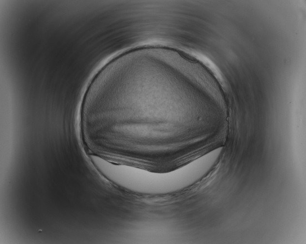 X0000094221199200711161842