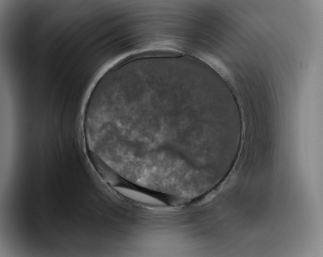 X0000094221200200711161842