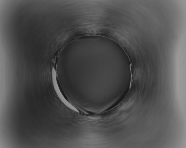 X0000094221202200711161842