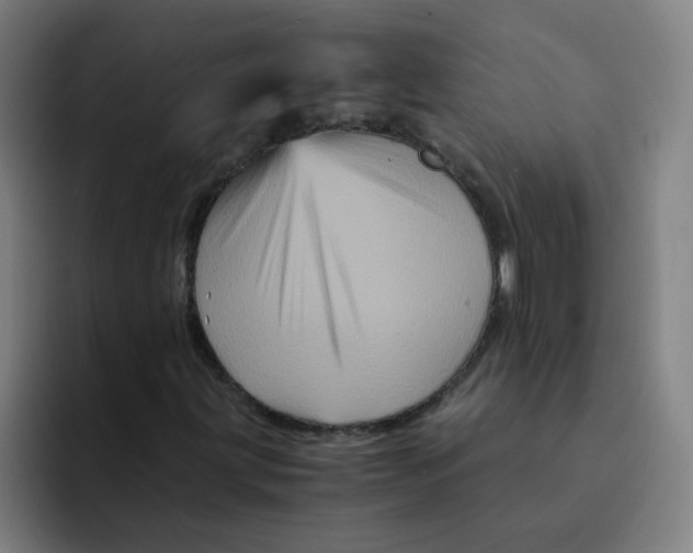 X0000094221203200711161842