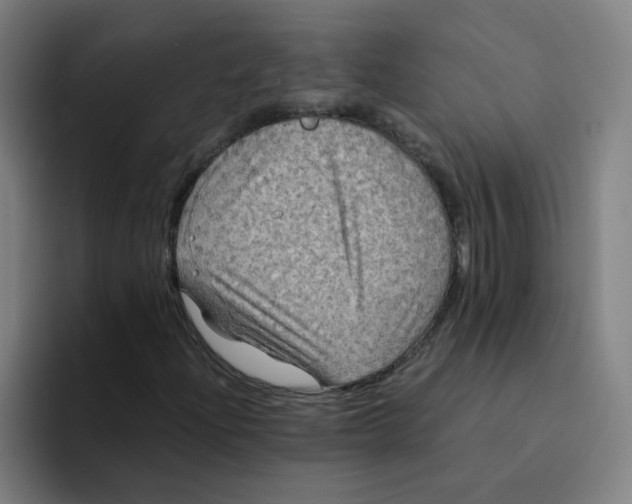 X0000094221204200711161842