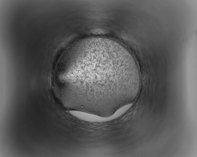 X0000094221205200711161842