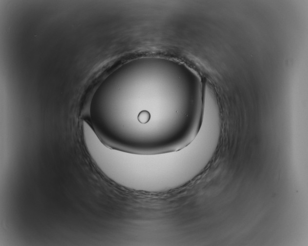 X0000094221206200711161842