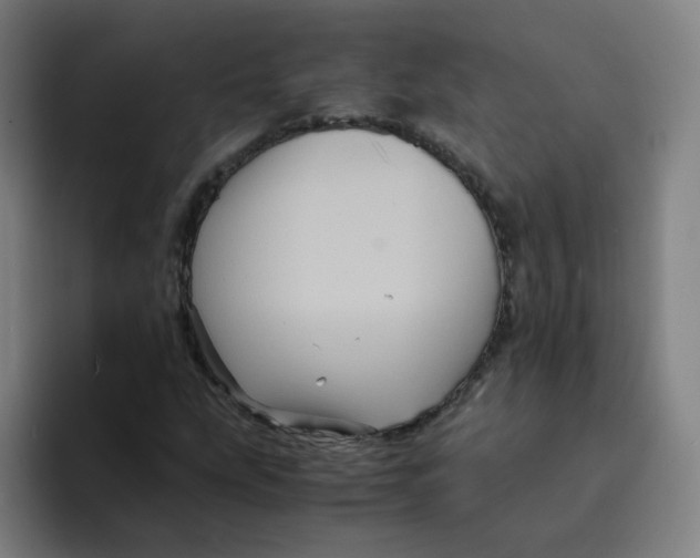 X0000094221207200711161842