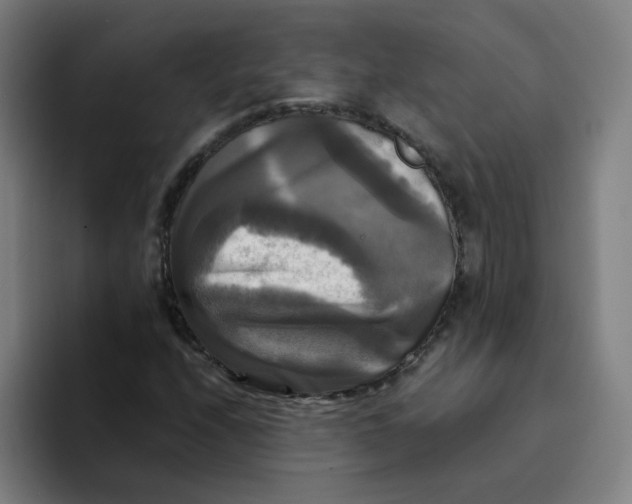 X0000094221208200711161842