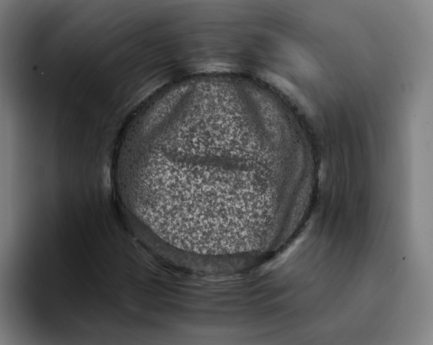 X0000094221209200711161842