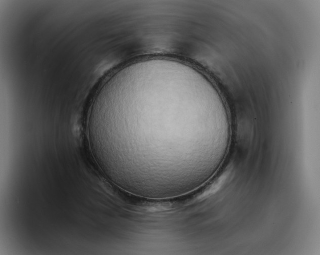 X0000094221210200711161842