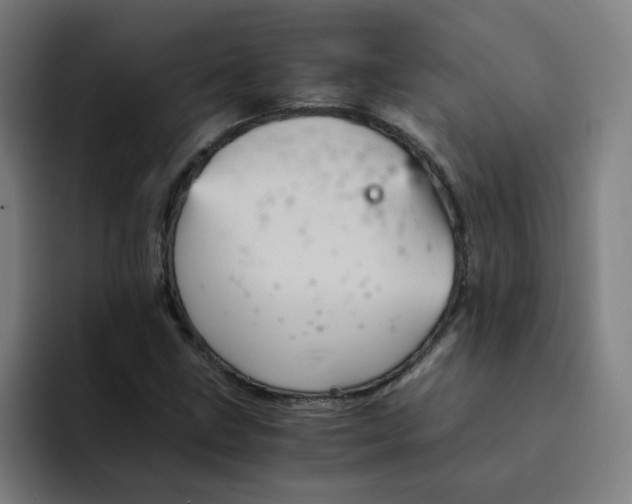 X0000094221211200711161842