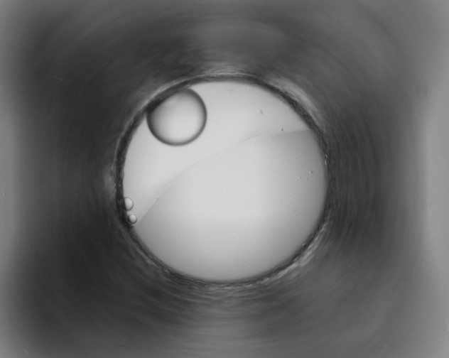 X0000094221212200711161842