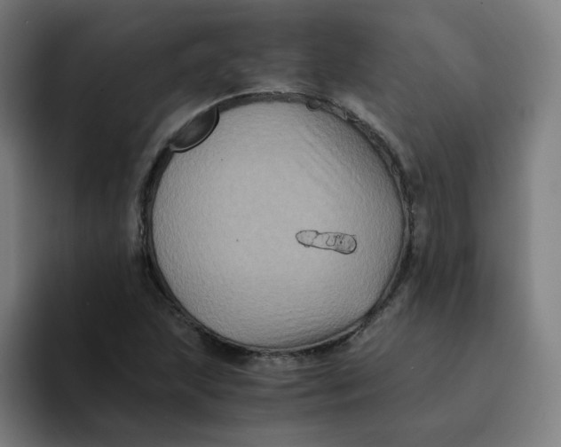 X0000094221215200711161842