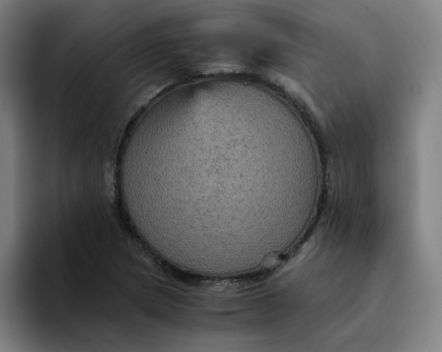 X0000094221217200711161842