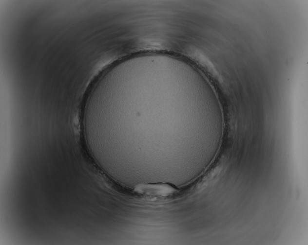 X0000094221218200711161842