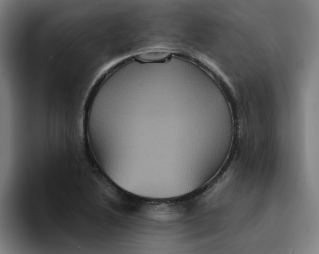 X0000094221222200711161842