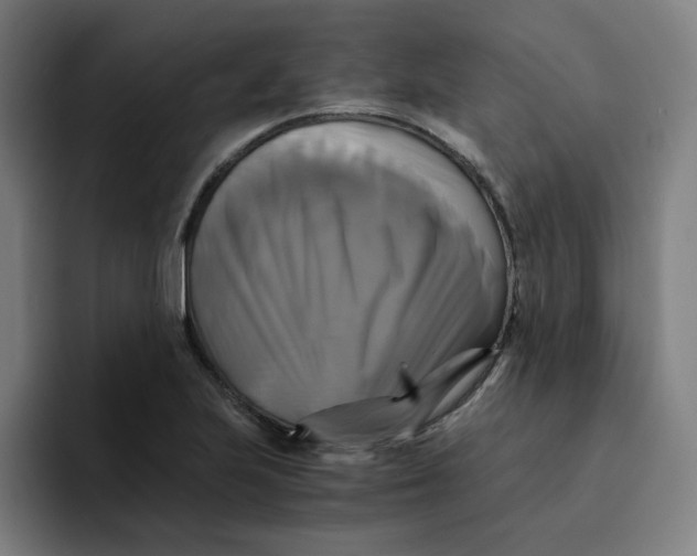 X0000094221223200711161842