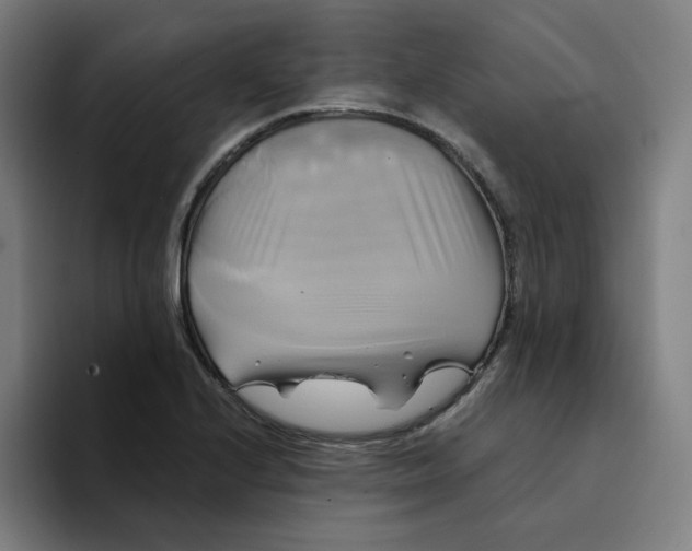 X0000094221224200711161842