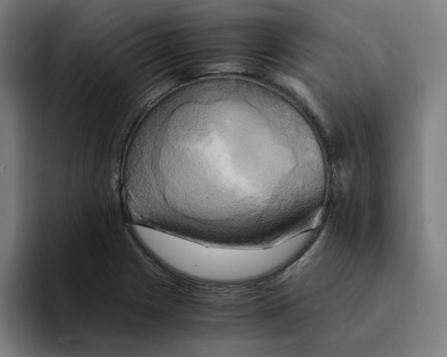 X0000094221225200711161842