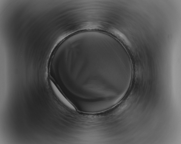 X0000094221226200711161842