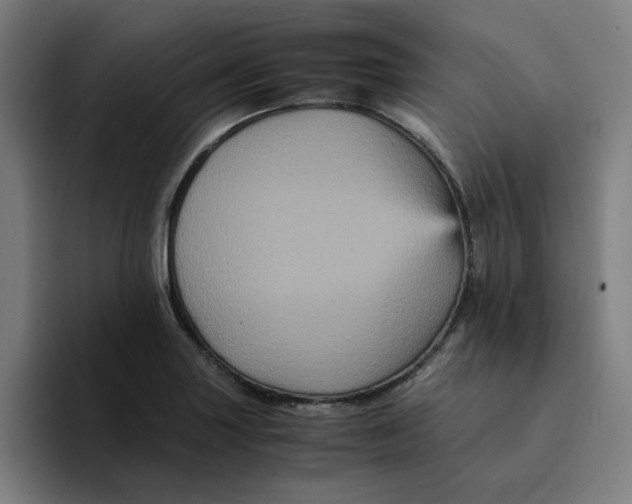 X0000094221227200711161842