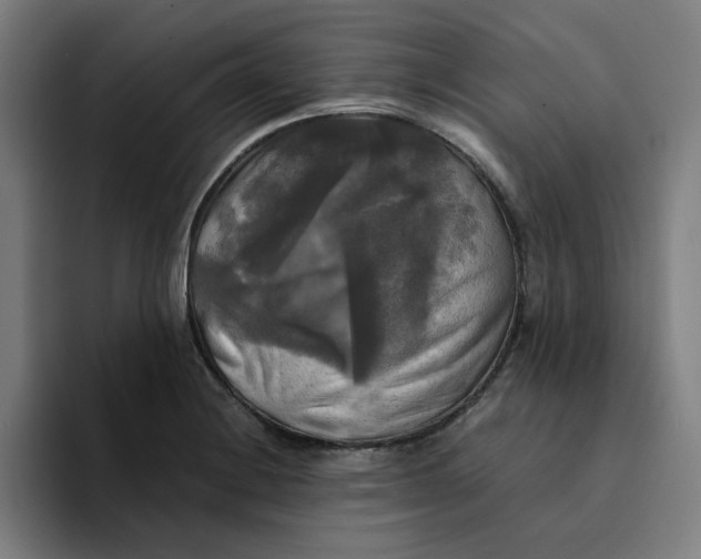 X0000094221228200711161842