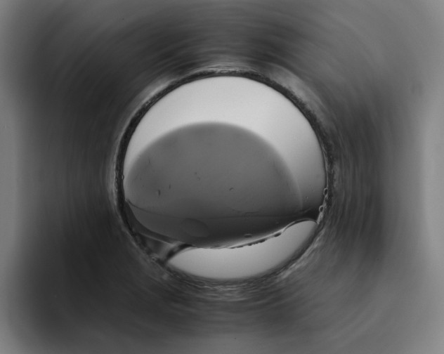 X0000094221229200711161842