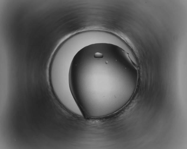 X0000094221230200711161842