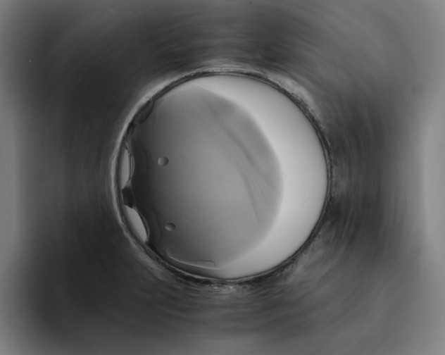 X0000094221231200711161842