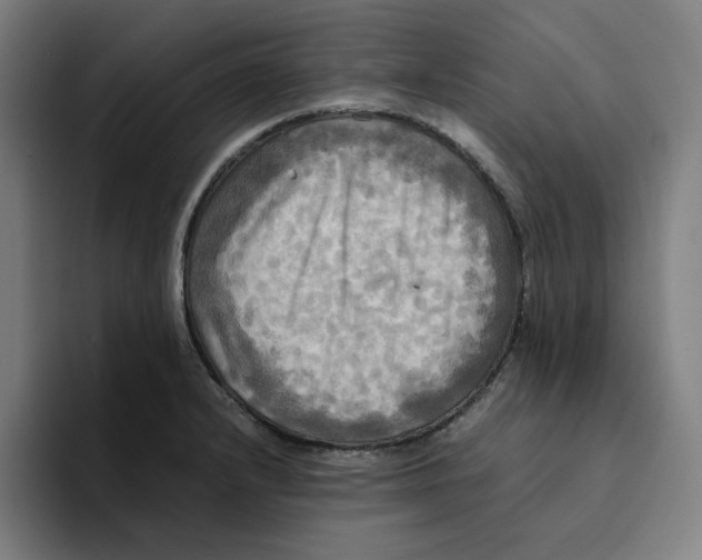 X0000094221232200711161842