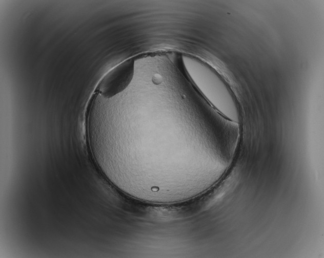 X0000094221234200711161842