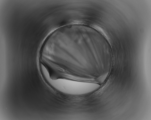 X0000094221235200711161842