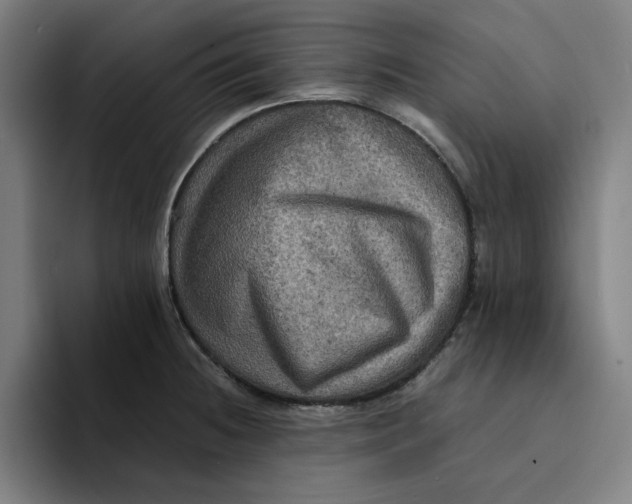 X0000094221236200711161842