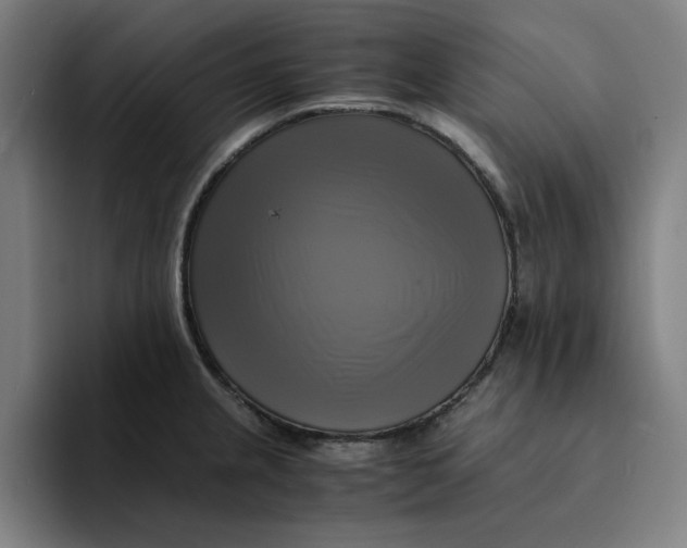 X0000094221237200711161842