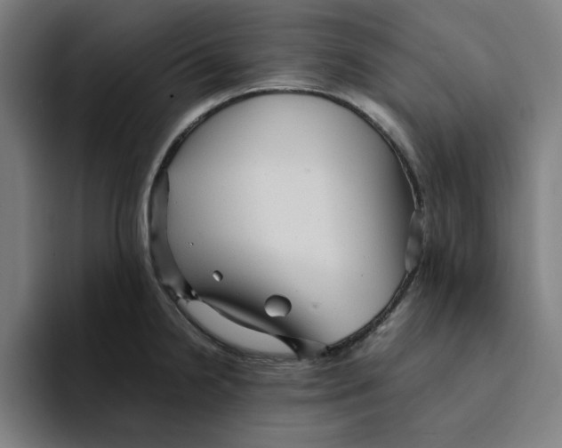 X0000094221238200711161842