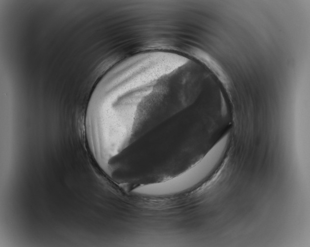 X0000094221241200711161842