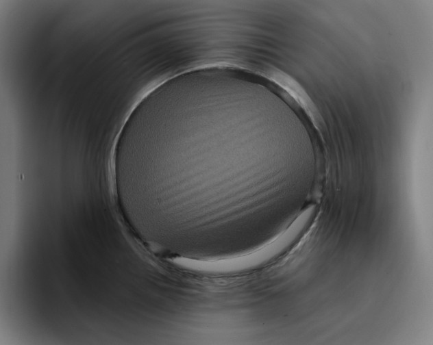 X0000094221242200711161842