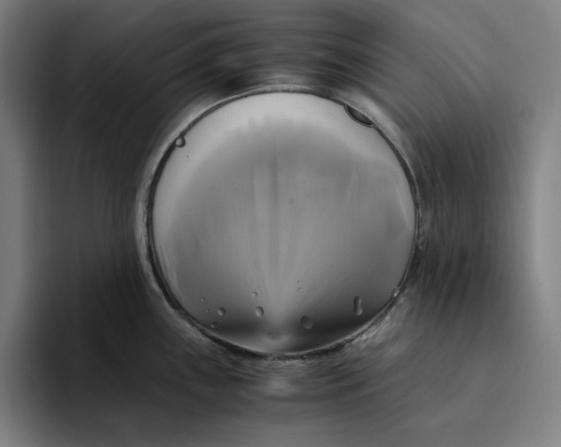 X0000094221243200711161842