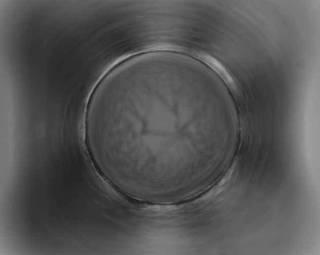 X0000094221244200711161842