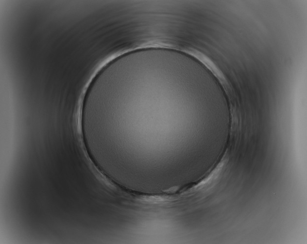 X0000094221246200711161842