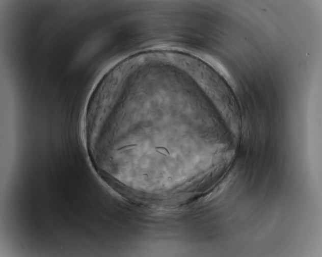 X0000094221247200711161842